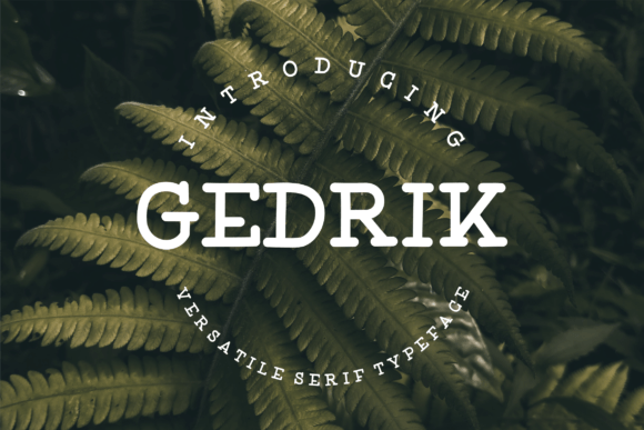 Gedrik: A Stylish Serif Font