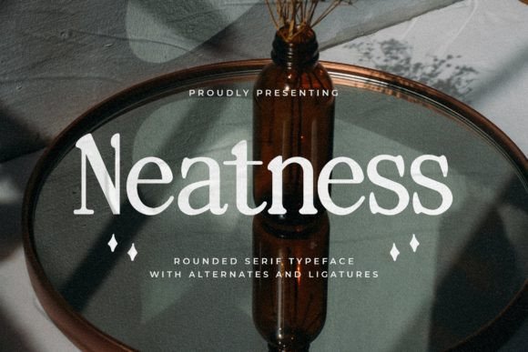 Neatness: A Serif Font for Web Design