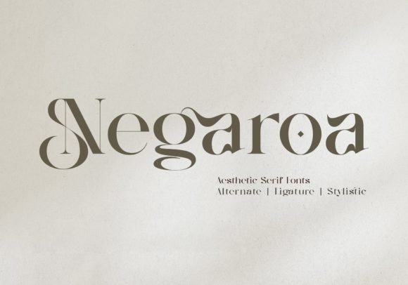 Negaroa: A Stylish Serif Font for Web Design